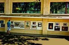 Art Exhibition.jpg